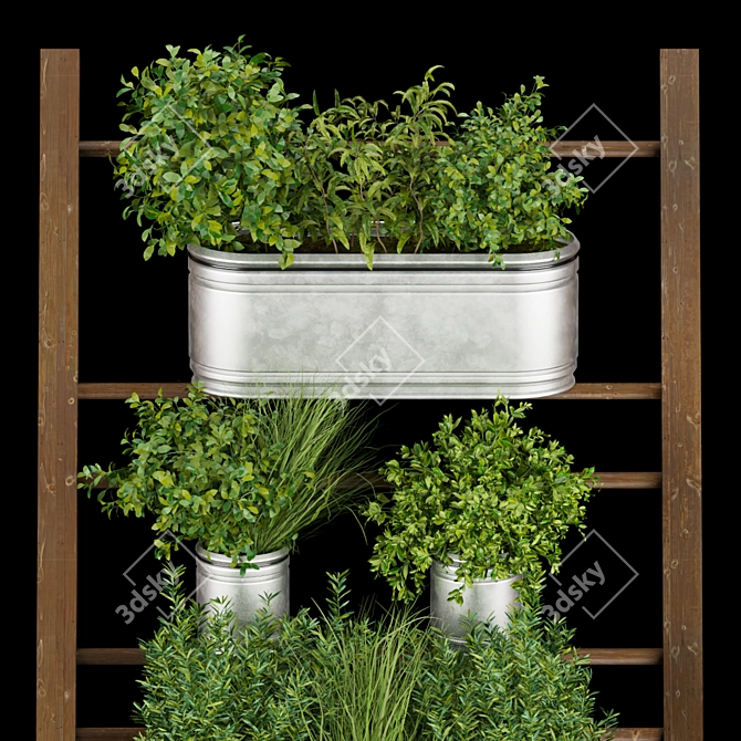 Indoor Hanging Plant Collection 3D model image 2