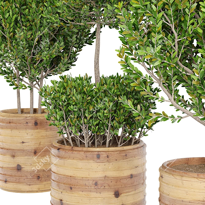 Green Haven: Lush Indoor Plant Set 3D model image 2