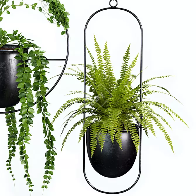 Botanical Bliss: Hanging Indoor Plant Set 3D model image 3