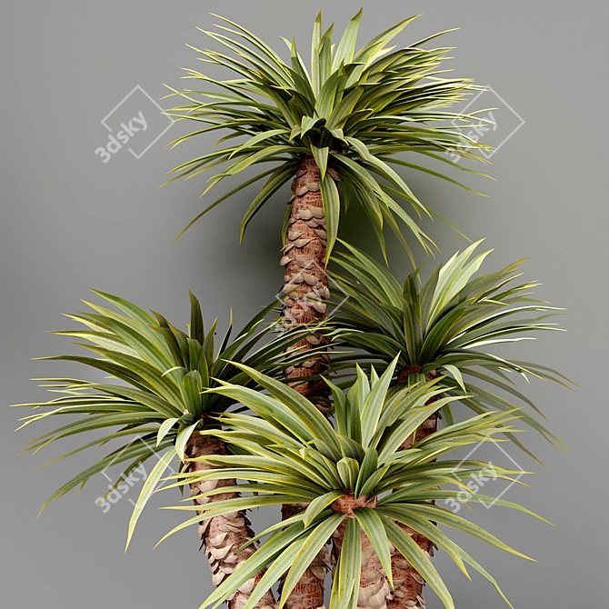 Elegant Yucco Tree - 42.5cm 3D model image 2