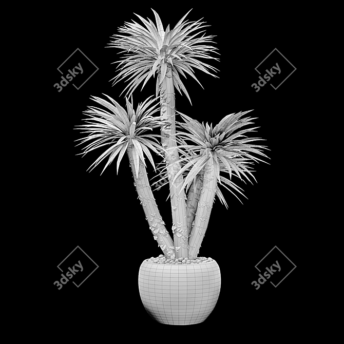 Elegant Yucco Tree - 42.5cm 3D model image 3