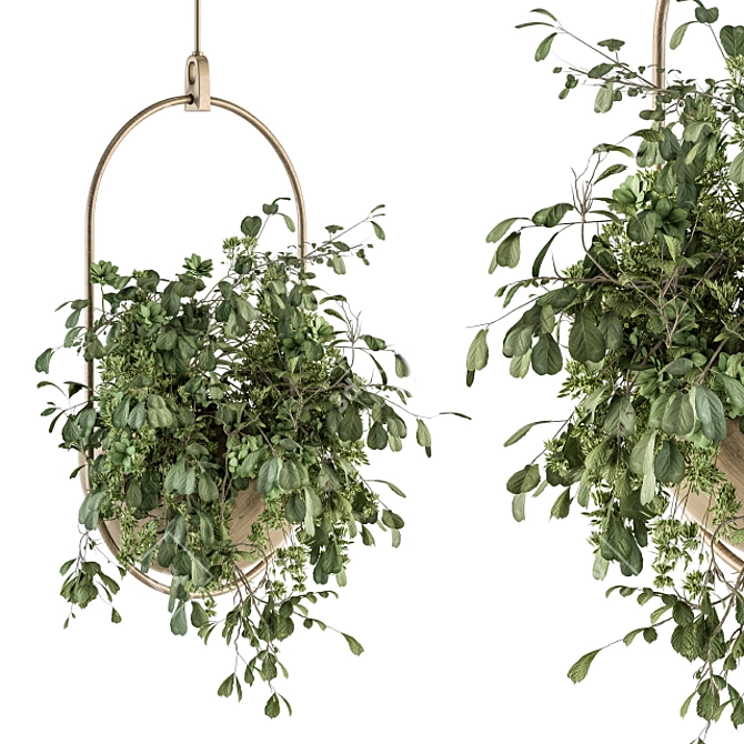 Botanical Beauties: Hanging Plant Set 3D model image 1