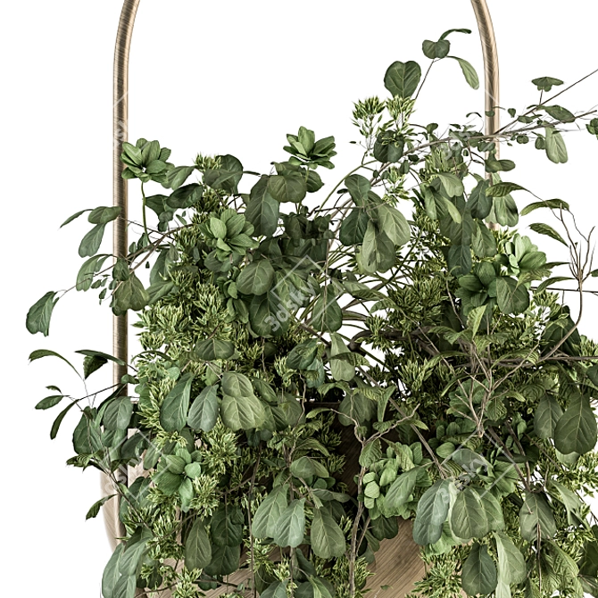 Botanical Beauties: Hanging Plant Set 3D model image 2