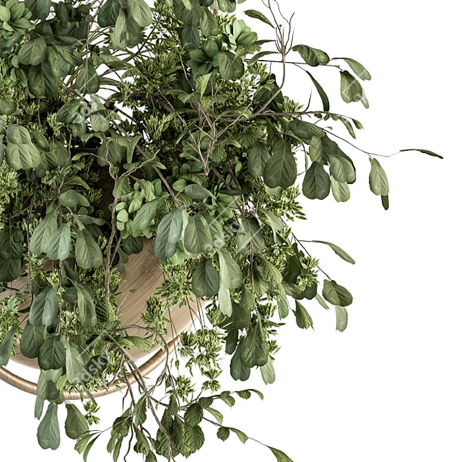 Botanical Beauties: Hanging Plant Set 3D model image 3