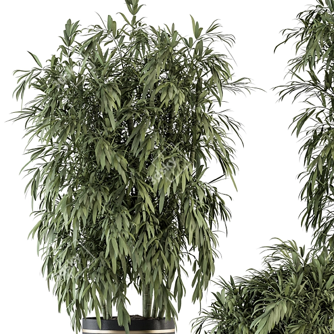 Large Bamboo Set in Pot 3D model image 2