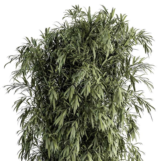 Large Bamboo Set in Pot 3D model image 3