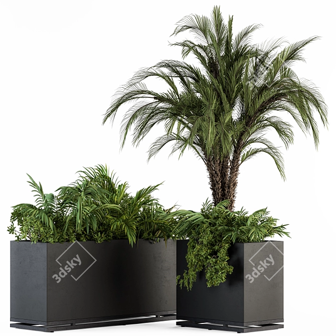 Tropical Oasis: Outdoor Plant Set 3D model image 1