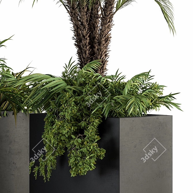 Tropical Oasis: Outdoor Plant Set 3D model image 2