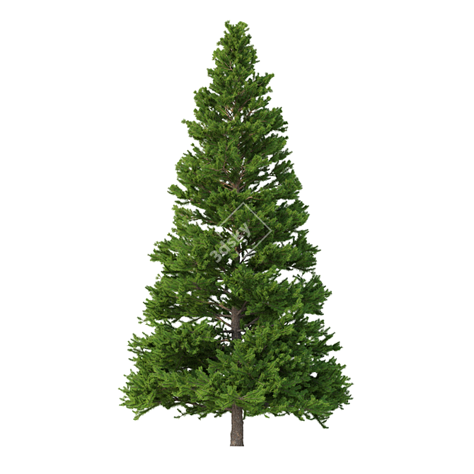 Norway Spruce 3D Tree Set 3D model image 5