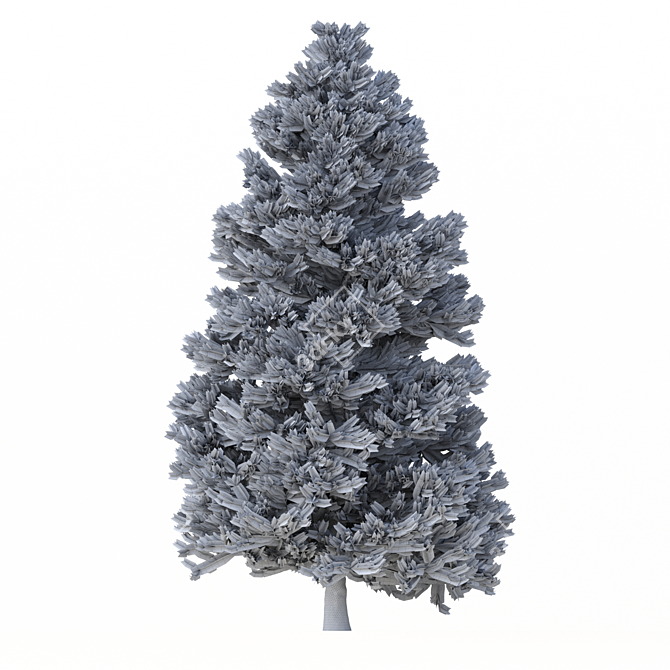 Norway Spruce 3D Tree Set 3D model image 7