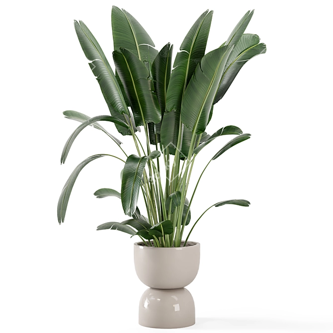 Rustic Concrete Pot Set with Indoor Plants 3D model image 5