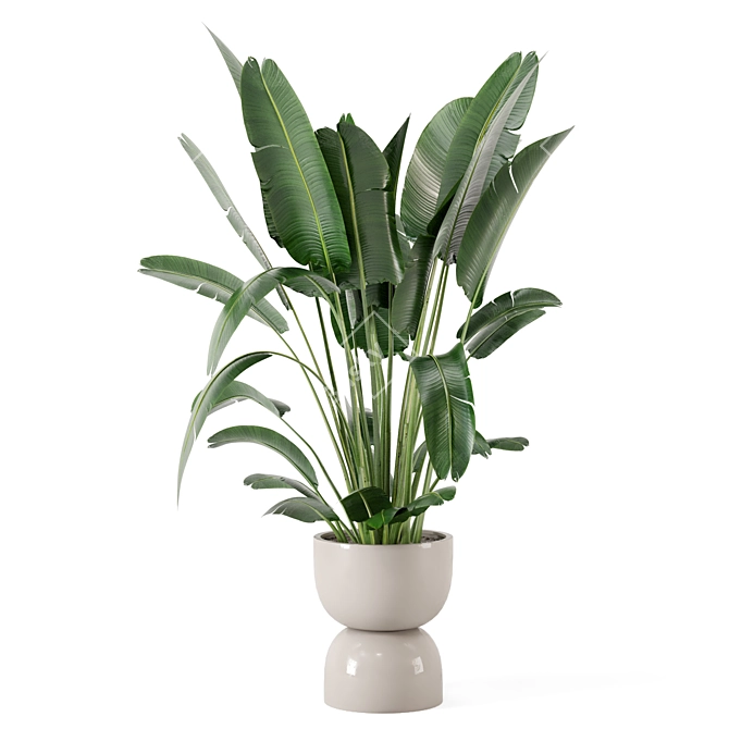 Rustic Concrete Pot Set with Indoor Plants 3D model image 6