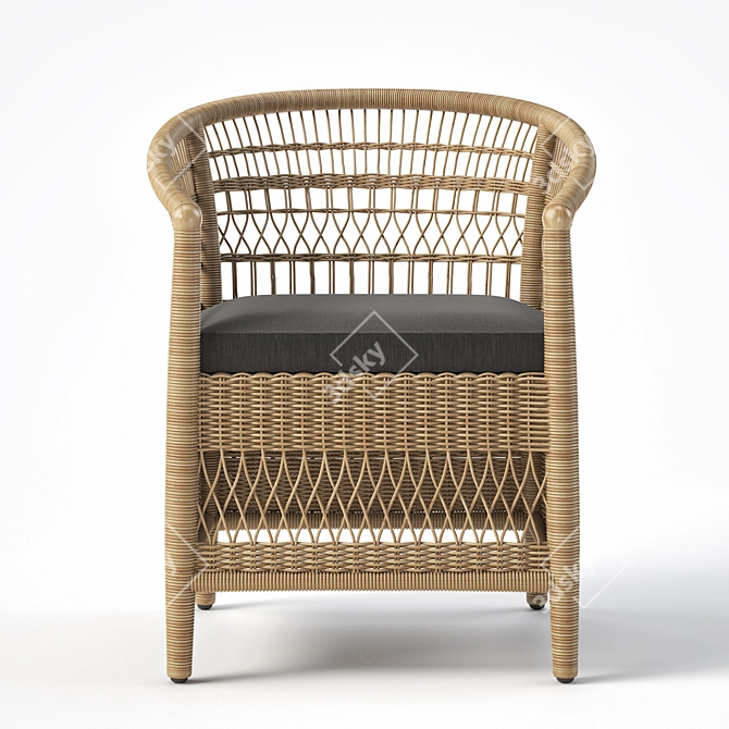 JANO Garden Chair: Synthetic Rattan, Black Cushion 3D model image 2