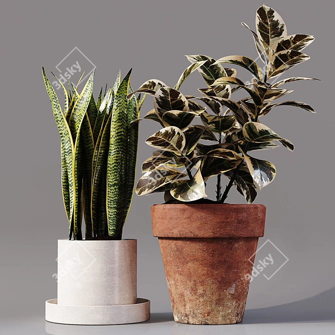 Collaction Indoor Plants 04: High-Quality, Detailed & Versatile 3D model image 2