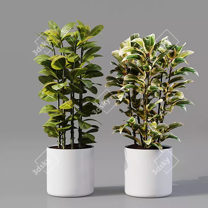 Collaction Indoor Plants 04: High-Quality, Detailed & Versatile 3D model image 4