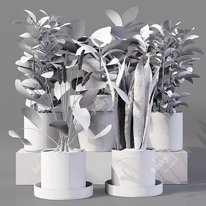 Collaction Indoor Plants 04: High-Quality, Detailed & Versatile 3D model image 5