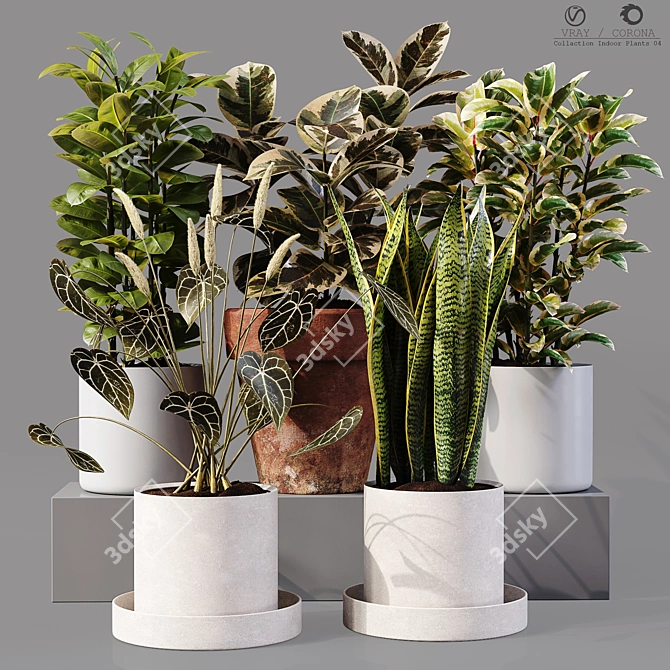 Collaction Indoor Plants 04: High-Quality, Detailed & Versatile 3D model image 6