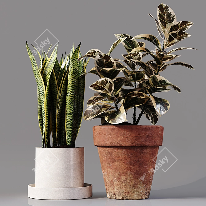 Collaction Indoor Plants 04: High-Quality, Detailed & Versatile 3D model image 7