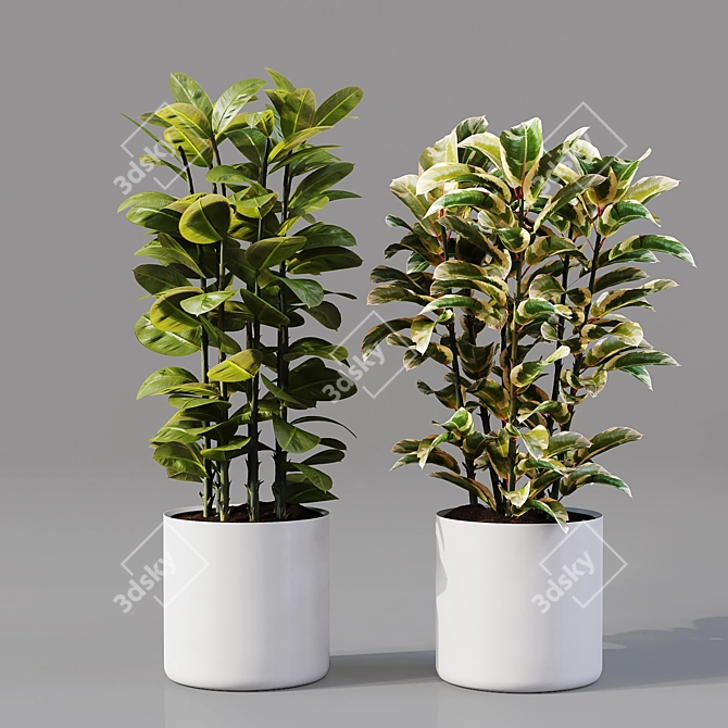Collaction Indoor Plants 04: High-Quality, Detailed & Versatile 3D model image 9