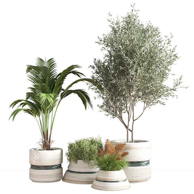 11-Piece Indoor Plant Set 3D model image 1