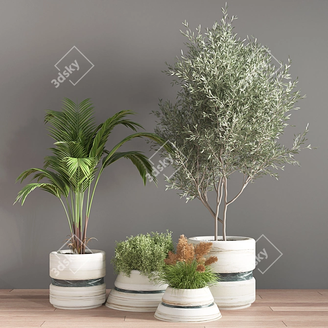 11-Piece Indoor Plant Set 3D model image 2