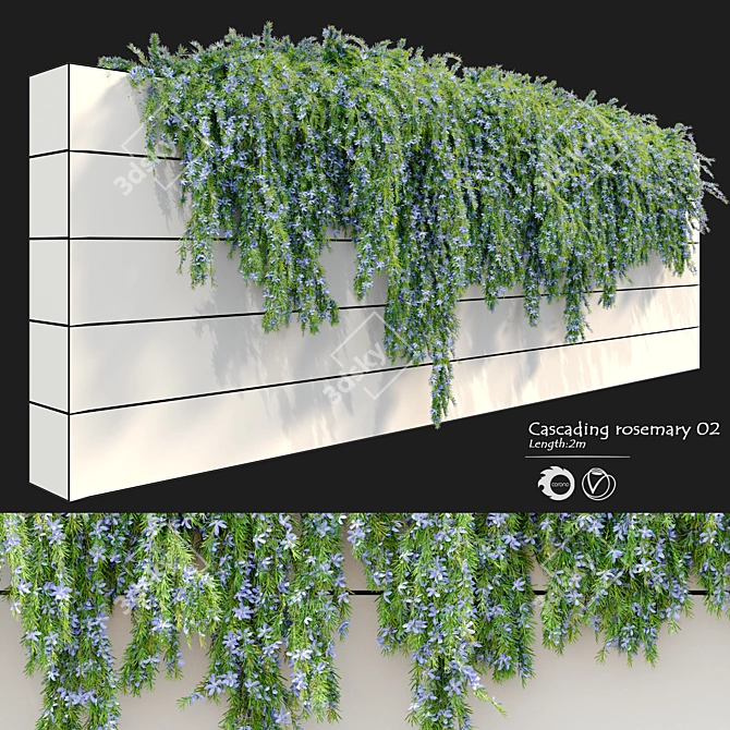 2m Cascading Rosemary: Lush & Fragrant 3D model image 1