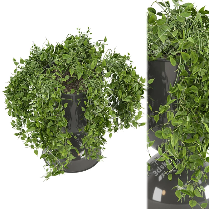 Botanical Bliss: Indoor Plants Set 3D model image 6