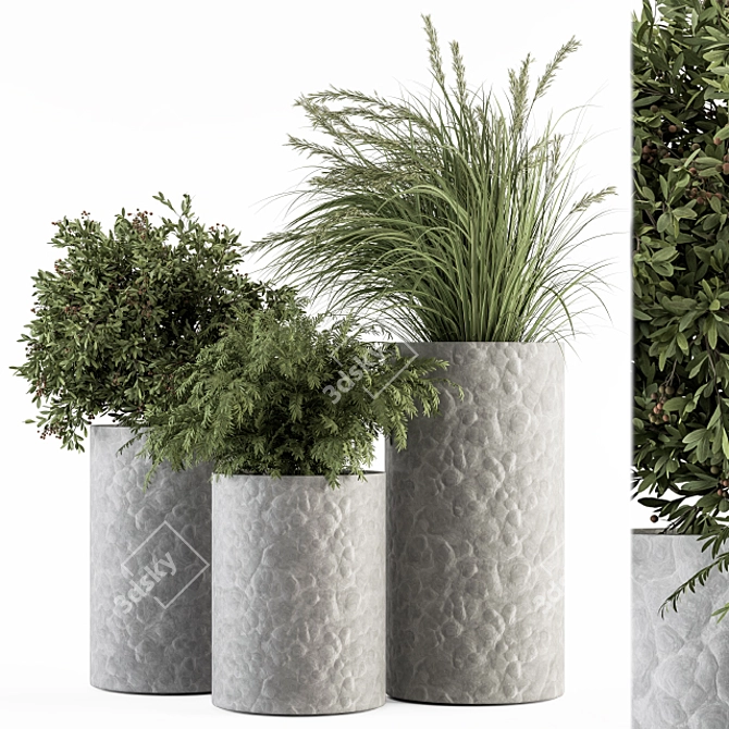 Concrete Pot Plant Set 3D model image 1