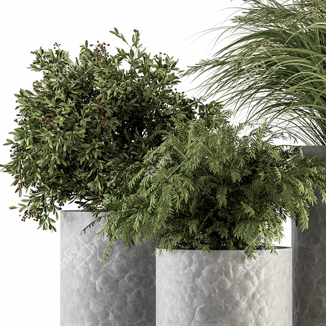 Concrete Pot Plant Set 3D model image 3