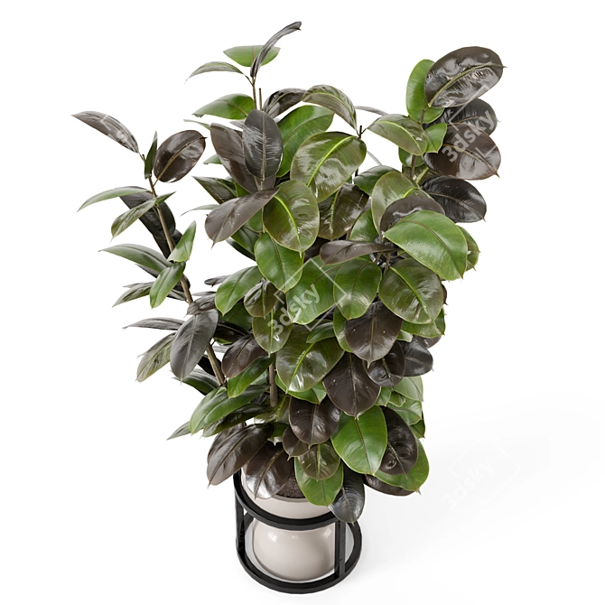 Rusty Concrete Pot Indoor Plants 3D model image 4