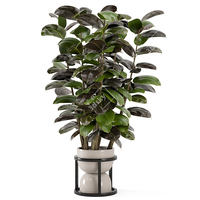 Rusty Concrete Pot Indoor Plants 3D model image 5