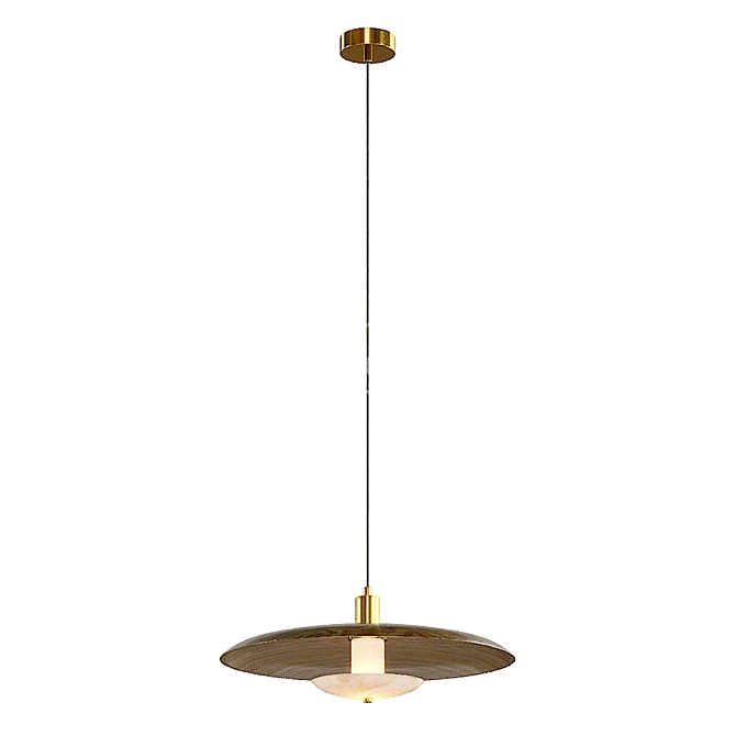 Reason Pendant Lamp: Stylish Lighting Solution 3D model image 3