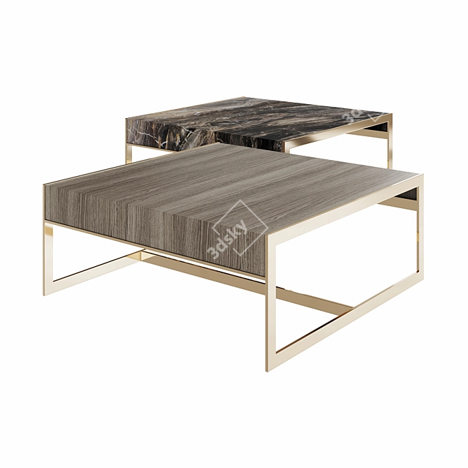 Elegant Anthony Coffee Table 3D model image 3