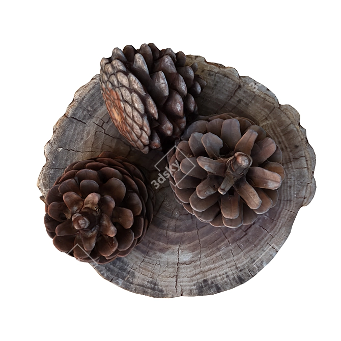 Natural Tree Trunk Sculpture 3D model image 5