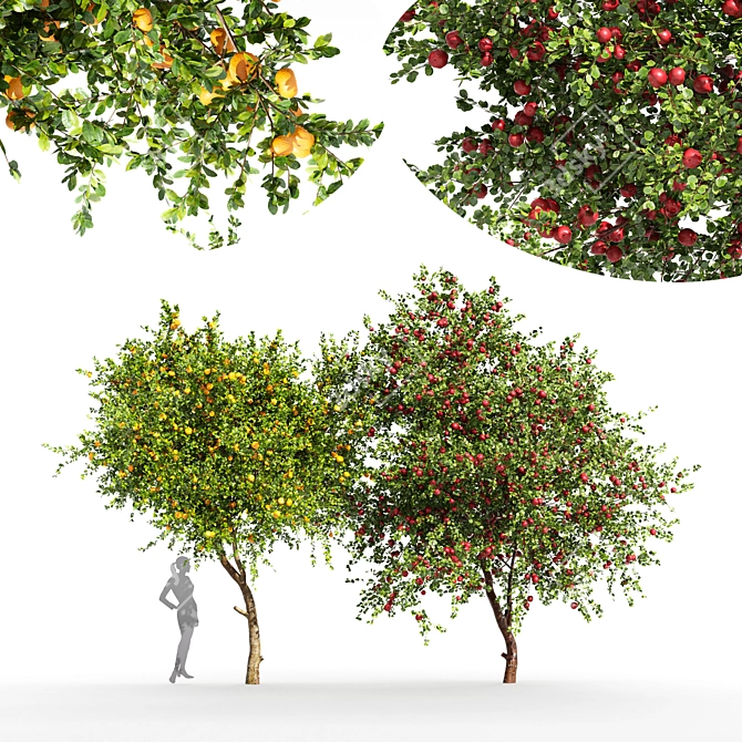 Fruity 2Tree Pair: Apple & Tangerine 3D model image 1