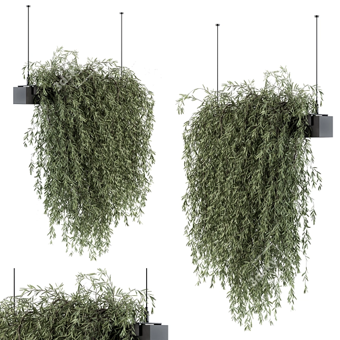 Lush & Lovely: Indoor Hanging Plant Set 3D model image 1