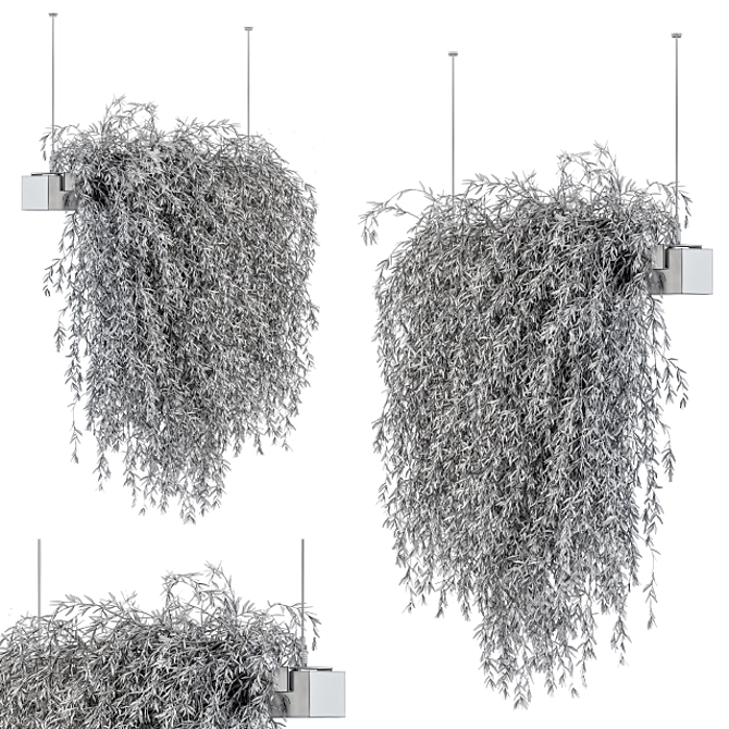 Lush & Lovely: Indoor Hanging Plant Set 3D model image 3
