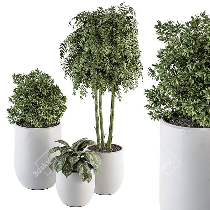 Green Oasis Indoor Plant Set 3D model image 1