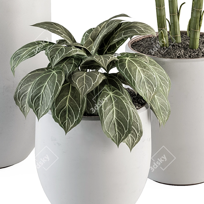 Green Oasis Indoor Plant Set 3D model image 2