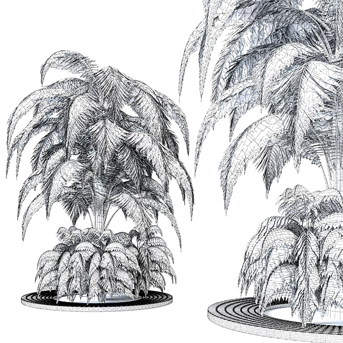 2015 Outdoor Plant Vol 09 3D model image 3