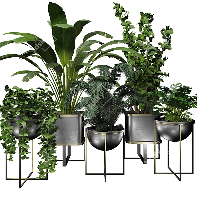 Contemporary Indoor Plant Collection 3D model image 1