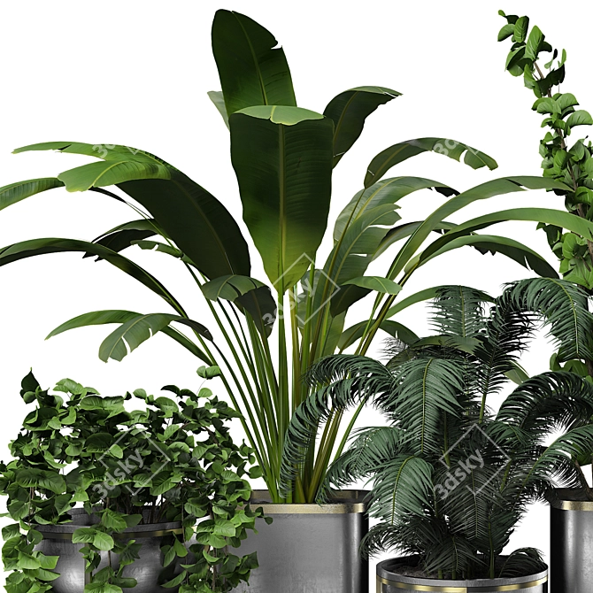 Contemporary Indoor Plant Collection 3D model image 2
