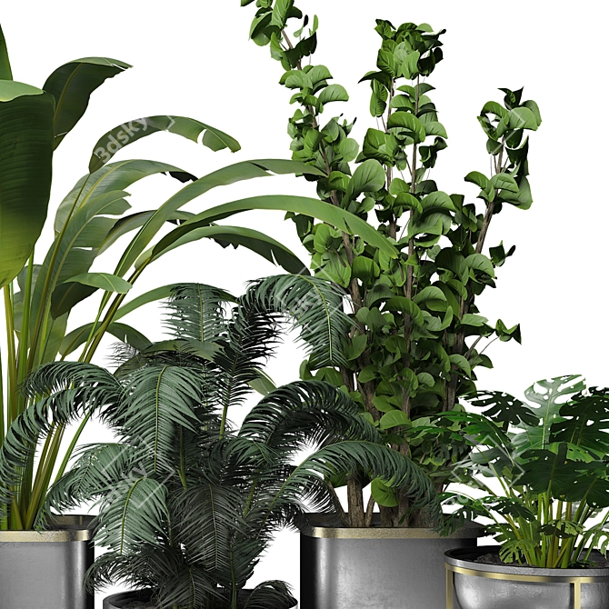 Contemporary Indoor Plant Collection 3D model image 3