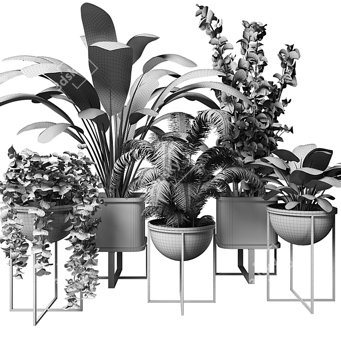 Contemporary Indoor Plant Collection 3D model image 4