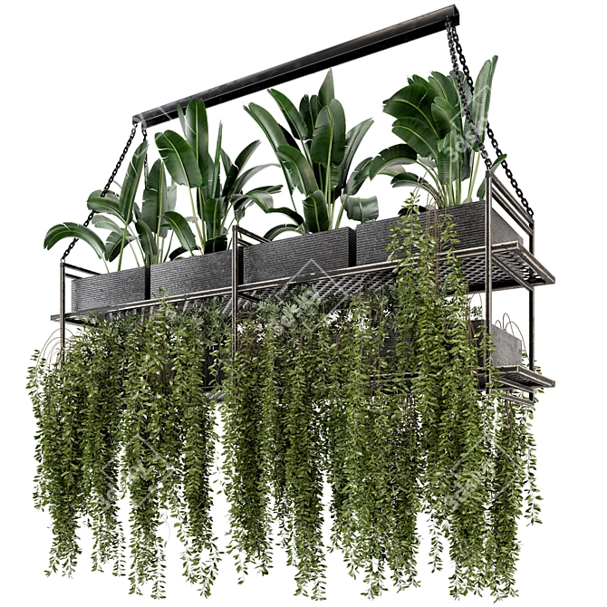 Metal Box Hanging Plants - Set 269 3D model image 1