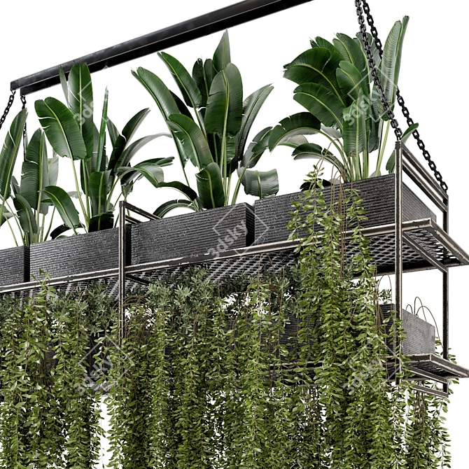 Metal Box Hanging Plants - Set 269 3D model image 3