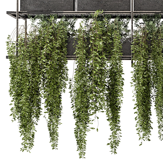 Metal Box Hanging Plants - Set 269 3D model image 4