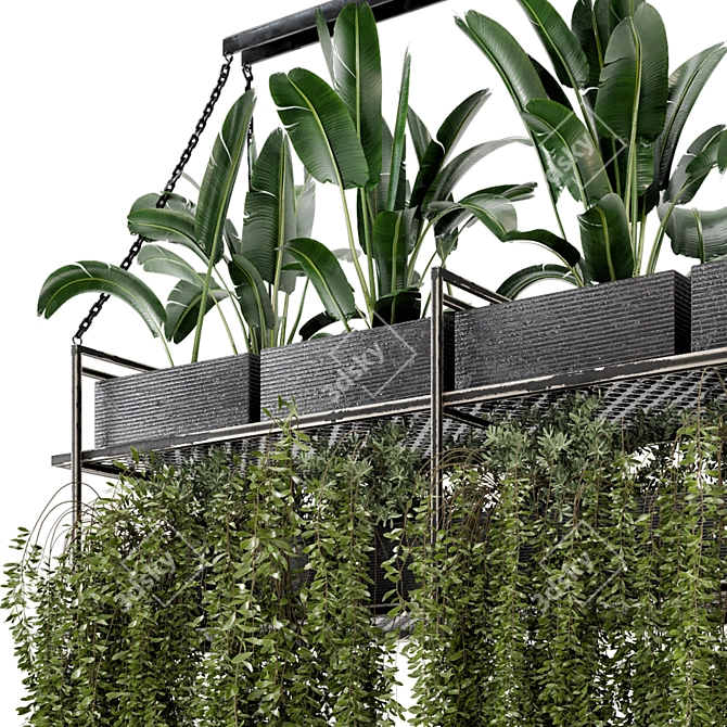 Metal Box Hanging Plants - Set 269 3D model image 5