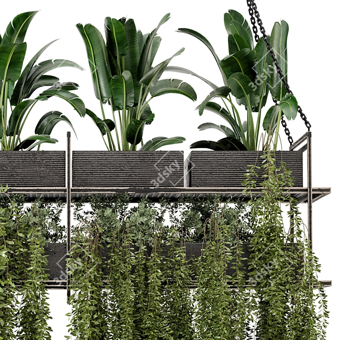 Metal Box Hanging Plants - Set 269 3D model image 6