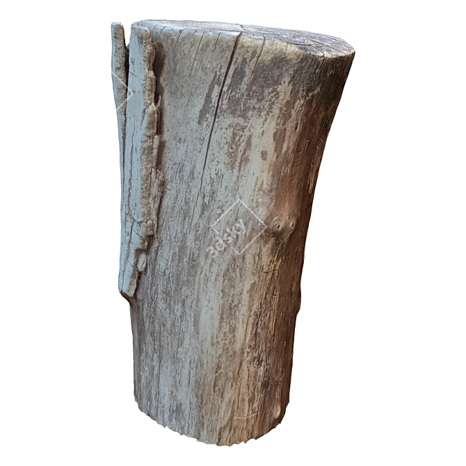 15 Trunk Tree Sculpture 3D model image 5